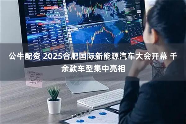公牛配资 2025合肥国际新能源汽车大会开幕 千余款车型集中亮相