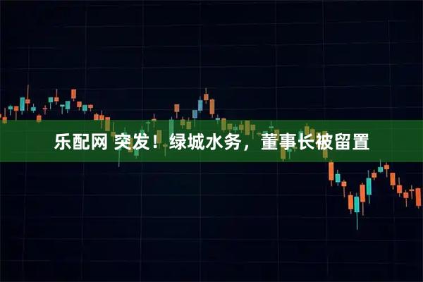 乐配网 突发！绿城水务，董事长被留置