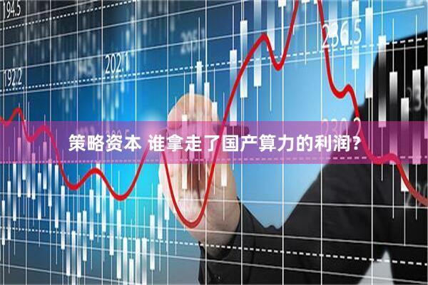 策略资本 谁拿走了国产算力的利润？
